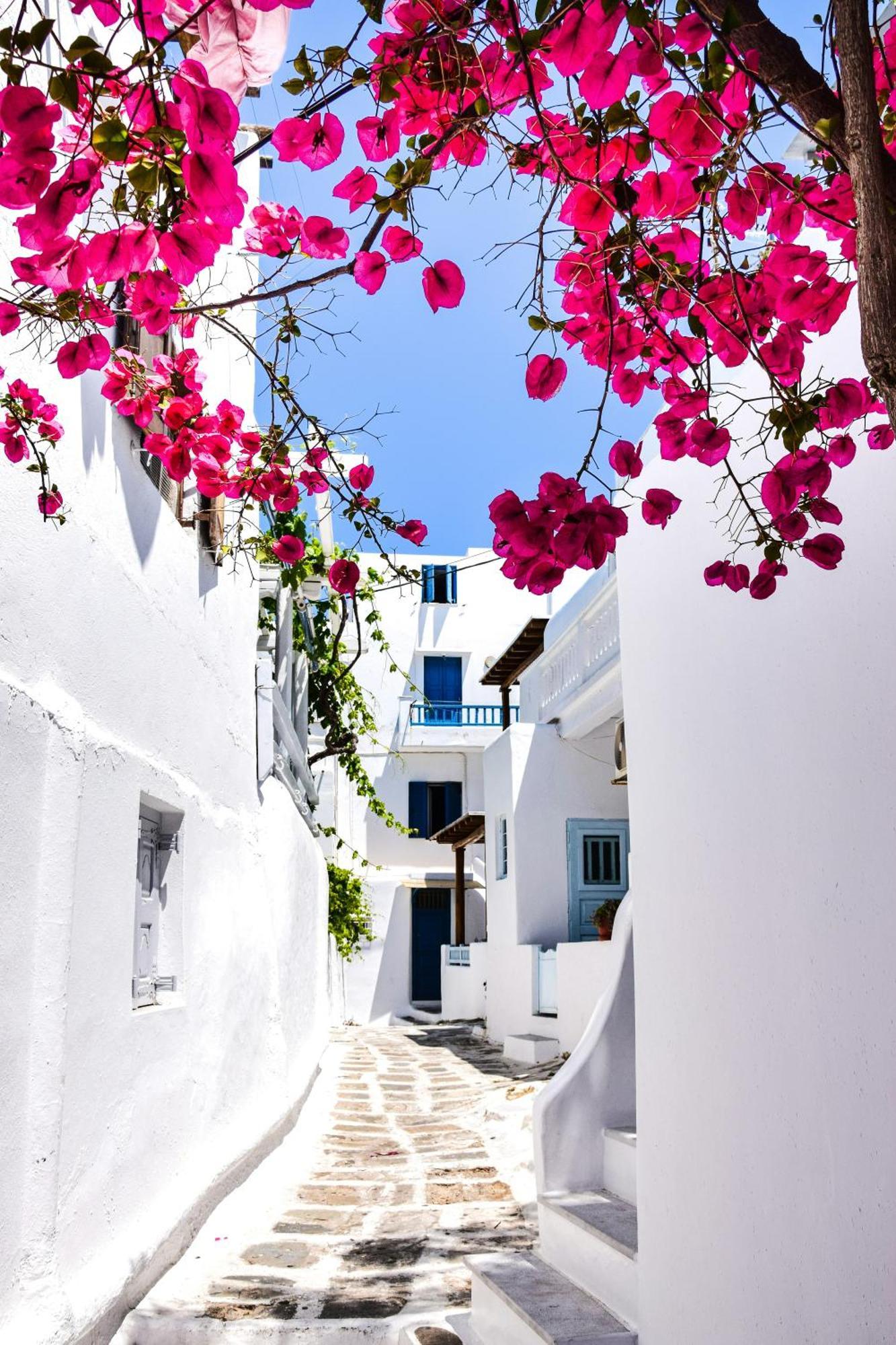 Aniko Suites White Alley Mykonos Town Екстер'єр фото